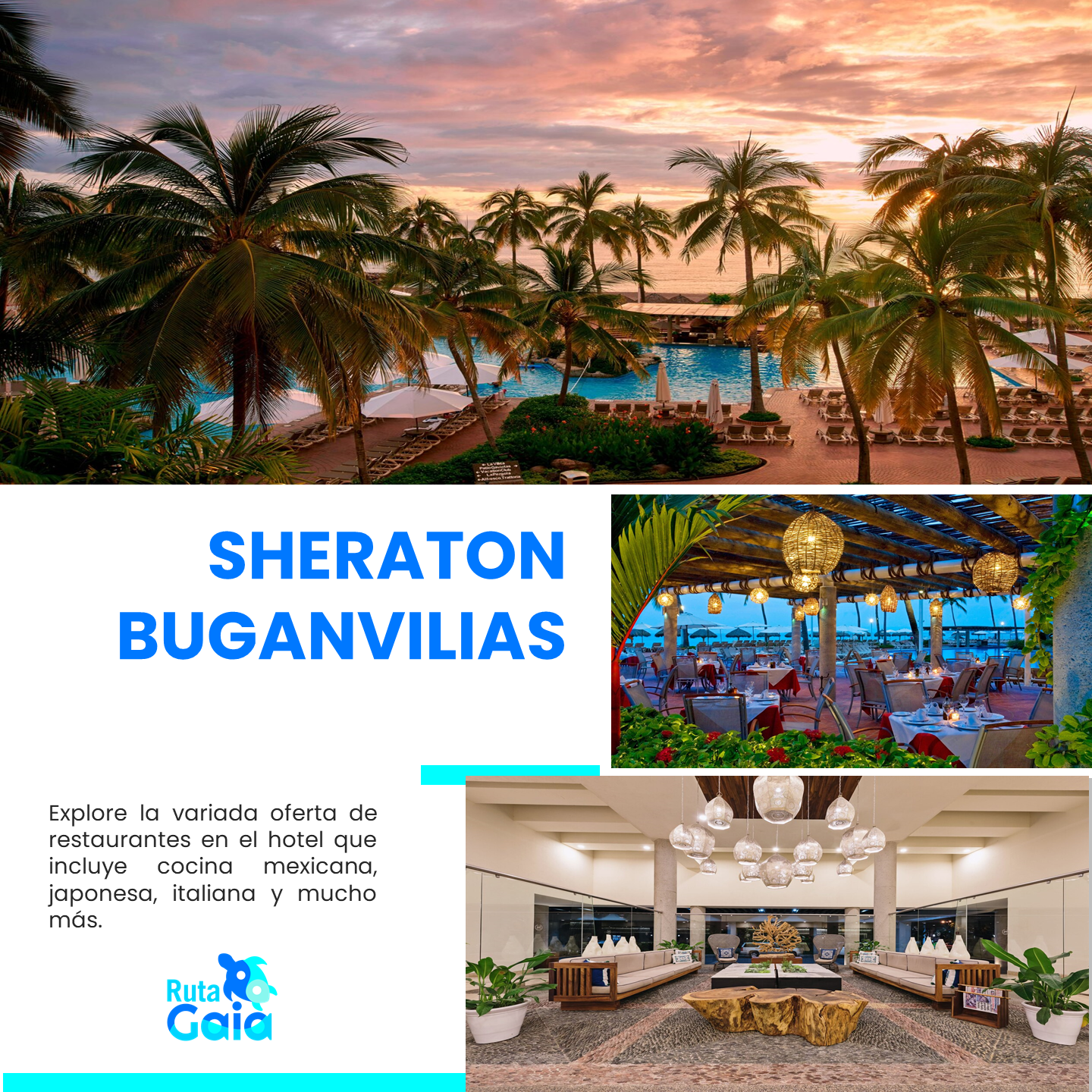 Sheraton Buganvilias
